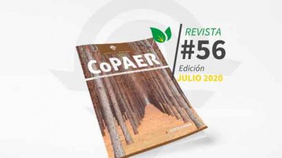 Nueva edición de la Revista CoPAER