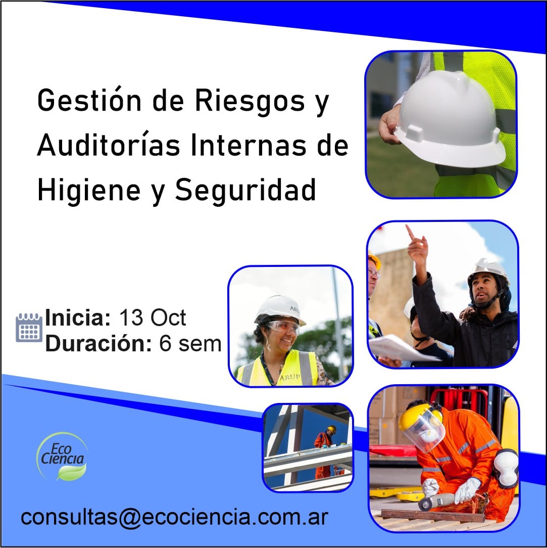 Gestión De Riesgos Y Auditorías Internas De Higiene Y Seguridad Copaer 6956