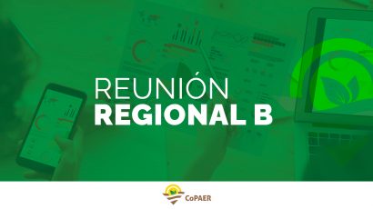 Informe Regional B