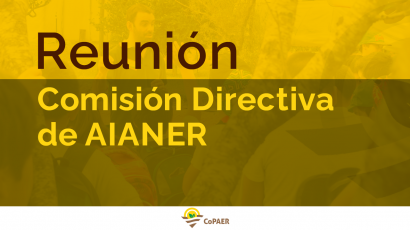 Comisión Directiva de AIANER