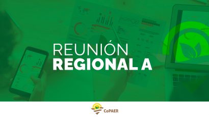 Informe Reunión Regional A
