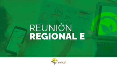 Informe Reunión Regional E