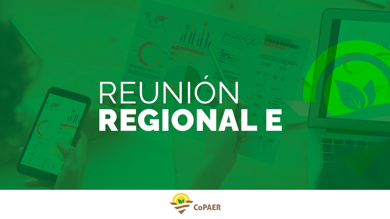 Informe Reunión Regional E.