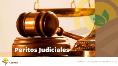 Información Importante: Peritos Judiciales
