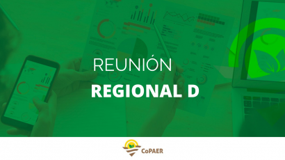 Informe Regional D.