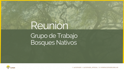 Reunión Grupo de Trabajo: Bosques Nativos.