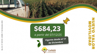 Cambio del Valor de la Movilidad